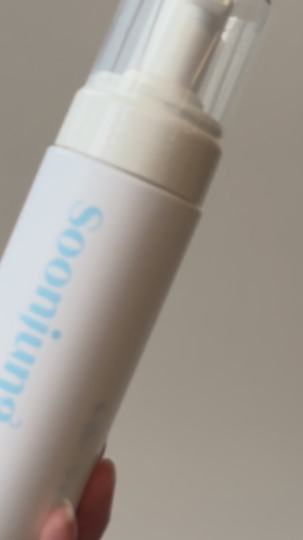 Etude SoonJung pH 6.5 Whip Cleanser